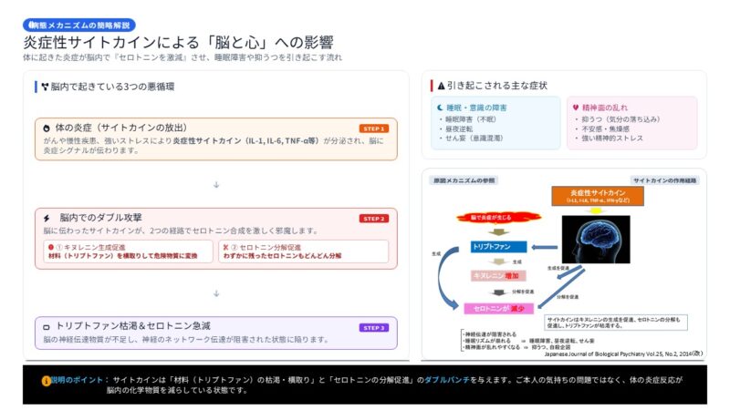 終末期がん患者さんの「恐怖」と「希望」のメカニズム──脳科学・がん悪液質・看護理論から読み解く心の支え方のアイキャッチ画像